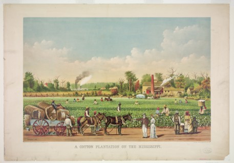 A cotton plantation on the Mississippi c 1884