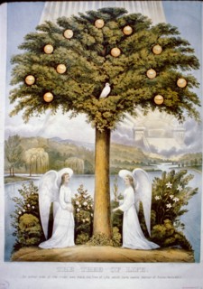 The tree of life on either side of the river