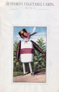 Bufford's vegetable cards