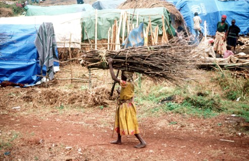 Female refugee carrying a bundle of twigs