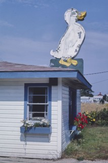 1980s United States