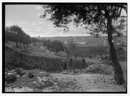 Jerusalem from slopes of Olivet (man and camel coming up the hill) ca. between 1934 and 1939