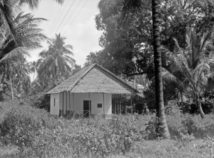 House near Zanzibar in a grove of clove trees and palms ca. 1936