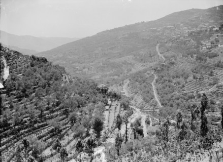 Typical terraced hillsides in Lebanon ca. 1920