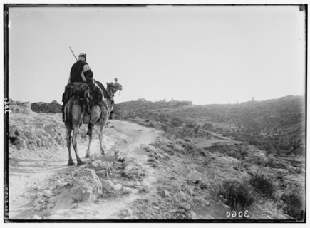 Man riding a camel on the road to Bethlehem as he approaches the city at twilight ca. 1920