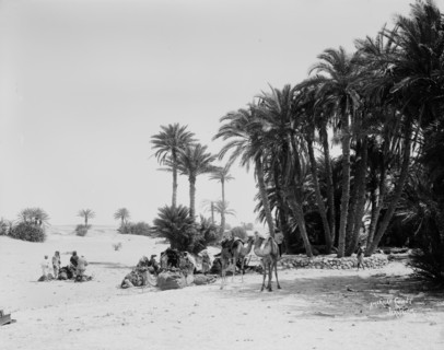 Caravan of men and camels at el-Wad in Sinai, preparing to cross the desert ca. between 1898 and 1914