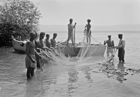 Tiberias fisheries, Arab men fishing with a drag net. Loading drag net on boat ca. 1940