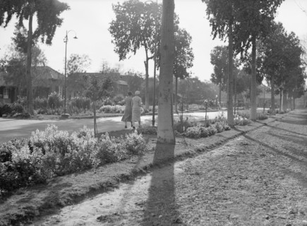 Two women walking at the Gezira Gardens & sports club ca. between 1934 and 1939