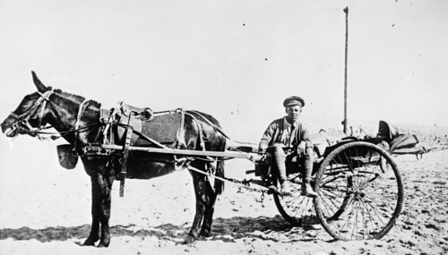 German horse drawn ambulance ca.  between 1910 and 1935