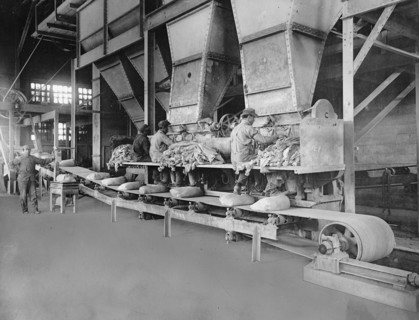 Men operating sacking machines, Portland Cemet Company, Mason City, Iowa. ca.  between 1910 and 1920