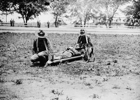 American Red Cross, Allentown camp; Red Cross dogs & stretcher bearers ca.  between 1910 and 1935