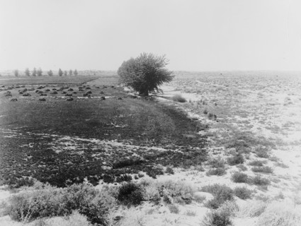 Nevada on left, old homestead; unreclaimed desert on the right ca.  between 1910 and 1935