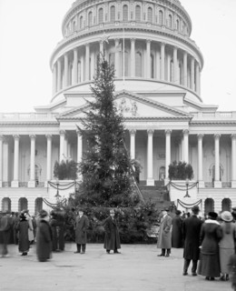 Community Christmas tree in front of the U.S. Capitol, Washington, D.C.] ca.  between 1910 and 1925