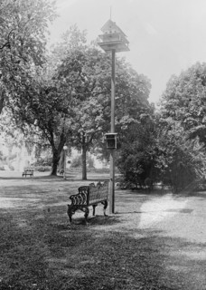 One of the many bird houses which Mrs. Harding has installed in the White House grounds, [Washington, D.C.] ca.  between 1910 and 1935