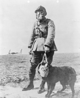 Soldier and his dog wearing gas masks ca.  1914