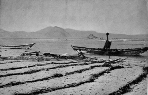 View of  Khor Ghorera (Yemen) in January 1914. Also known as the lagoon, or lake, of Sheikh Said. Several huts are visible across the lake. A  small Turkish garrison occupied Fort Turba at the top of ...