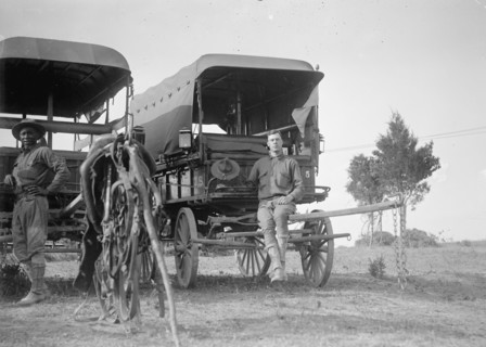 U.S. Army wagons, soldier sitting on the back of a wagon ca. between 1909 and 1940