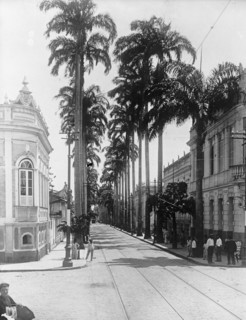 Palm Avenue Para, Brazil ca. between 1909 and 1919