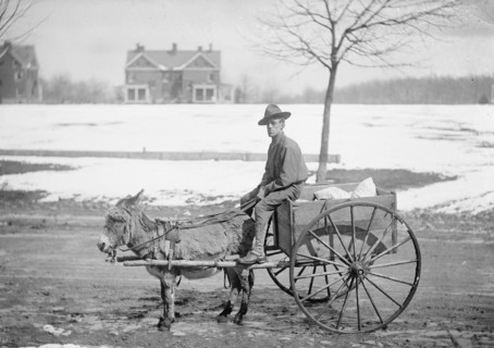 U.S. Army soldier, goat & cart ca. between 1909 and 1940