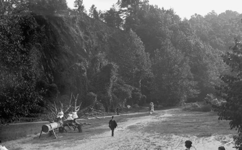 National Zoo Park, Washington, D.C. ca. between 1909 and 1923