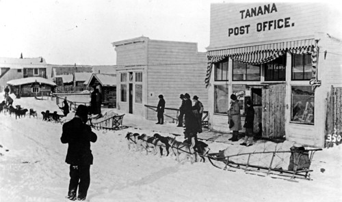 U.S. Mail, Tanana, Alaska, mail sled dog teams leave for the interior ca. between 1909 and 1940