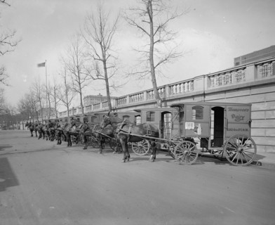 Horse drawn milk carts from the Thompson Dairy ca.  between 1918 and 1928