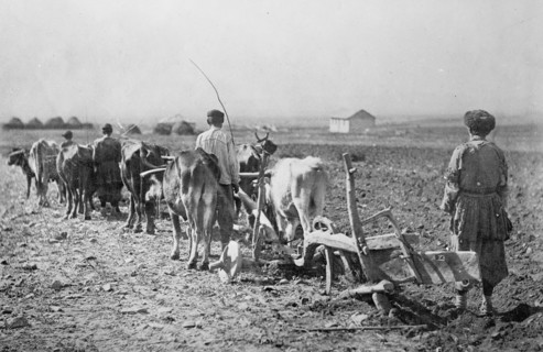 Farmers at work plowing fields in the northern Caucasus Mountains ca.  between 1918 and 1921