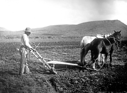 Salt River Project, [Arizona] Sacator Indian Reservation, farmer plowing a field ca.  between 1918 and 1928