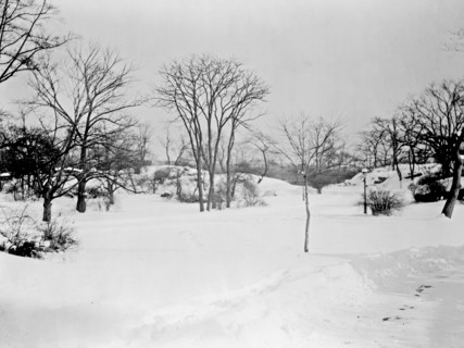 First snow of the season in Central Park, New York City ca. 1909