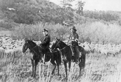 Edd Ladd, full-blood Apache Indian, of the Jicarilla Reservation, New Mexico, with Indian Commissioner Cato Sells, on horseback ca. 1909