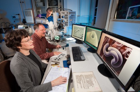 Workers use a low temperature scanning electron microscope (LT-SEM) to view anatomical structures needed to identify nematodes like the Parasitorhabditis nematode associated with pine trees and bark b...