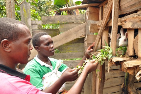 Evas and her husband, Africano, feed their rabbits weeds from their garden. They have a Model Home in their community, and Evas is a group promoter for the Family Life School group in the Bulambira co...