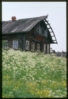 Log house (late 19th century), Shelomya, Russia; 2000