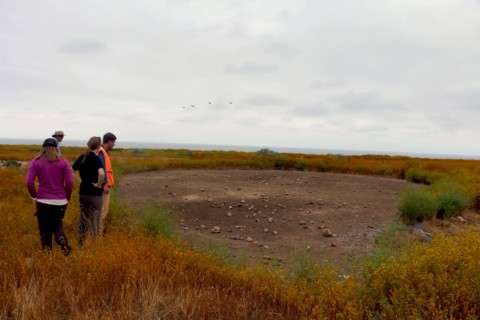 Dry vernal pool at Camp Pendleton ca. 7 June 2017