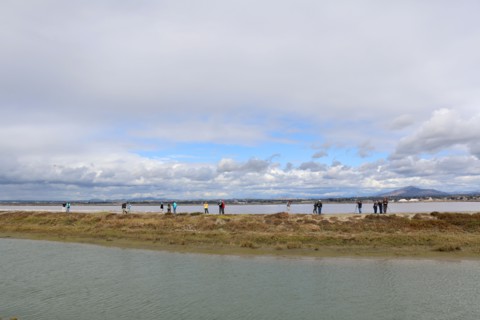 San Diego Bird Festival 2018 at San Diego National Wildlife Refuge ca. 22 February 2018