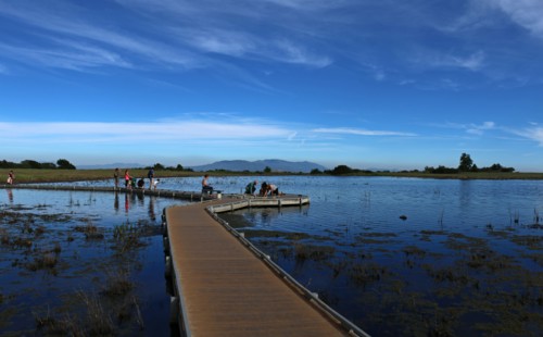 Vernal Pool at Santa Rosa Plateau ca. 18 March 2017