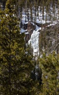 An iced-over small waterfalls Crystal falls in Yellowstone National Park; Date: 17 April 2020