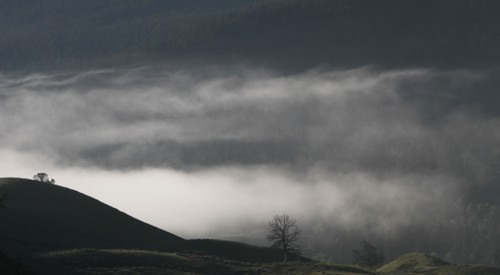 Low clouds in Soda Butte Valley in Yellowstone National Park; Date: 13 June 2015