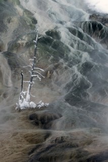 Palette Spring at Mammoth Hot Springs in Yellowstone National Park; Date: 29 December 2014