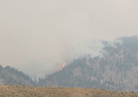 Buffalo Fire near Slough Creek in Yellowstone National Park; Date: 30 August 2016
