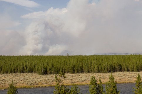 Maple Fire and Madison River along the West Entrance Road in Yellowstone National Park; Date: 22 August 2016
