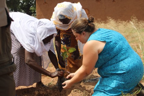 USAID West African program officer Nikki Emerson planting a shea tree with farmers as part of an agriculture project  in Northern Ghana ca. 8 November 2016