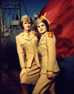 The Transportation Corps flag, WWII