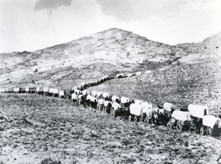 Wending their way through valley