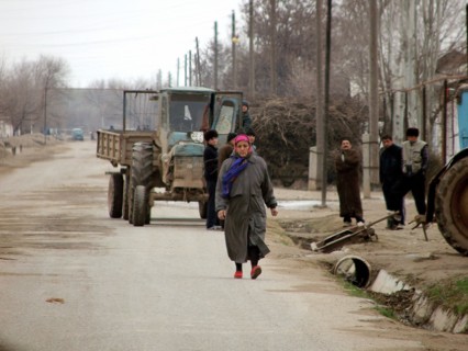 Uzbek woman walks down the street