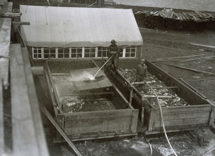 Hosing skins