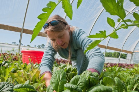 2011 USDA Visit to Amy's Organic Garden in Charles City