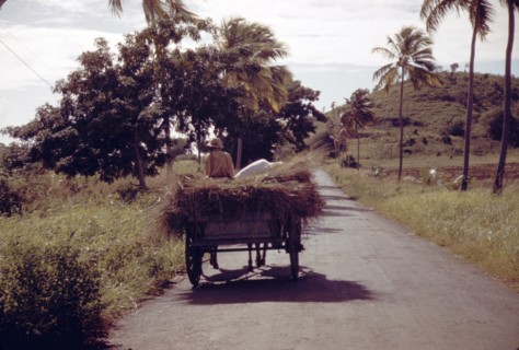 A farm road near one of the 'villages' on the northern coast