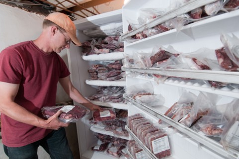 A farmer takes inventory of beef