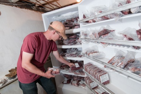 A farmer takes inventory of beef